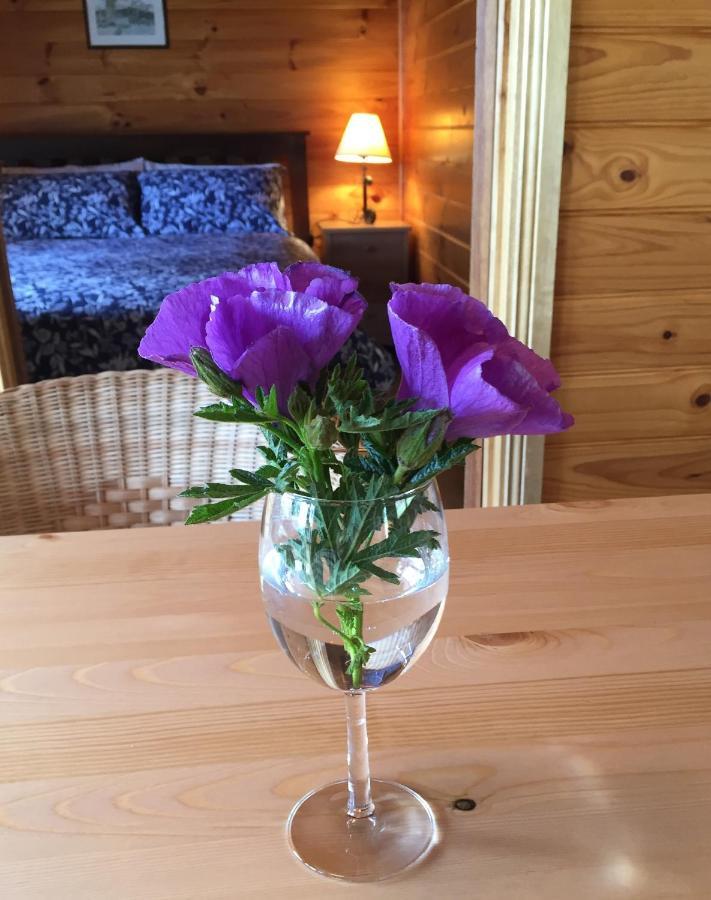 Molly'S Chase Bed & Breakfast Emu Flat Eksteriør bilde